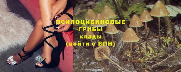 мет Богородицк
