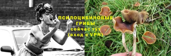 герыч Богданович