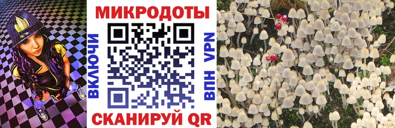купить наркоту  Бутурлиновка  Псилоцибиновые грибы GOLDEN TEACHER 